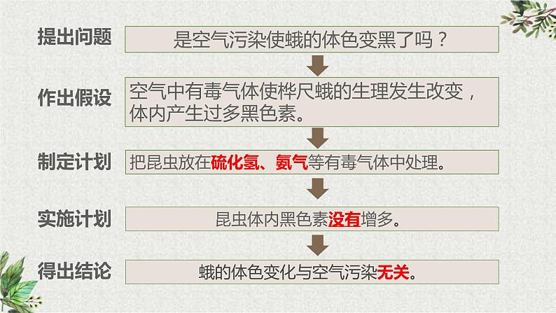 初中 初二 生物 生物进化的原因   课件06