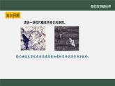 初中 初二 生物《生物进化的原因》（第二课时） 课件