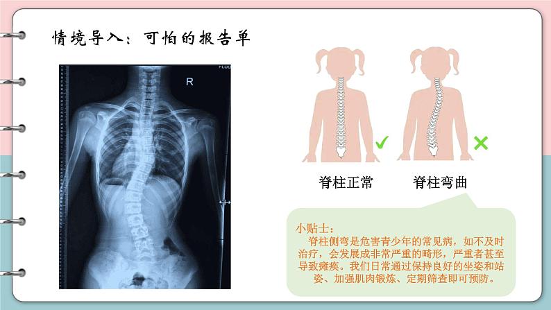 初中 初二 生物《鱼》 PPT课件03