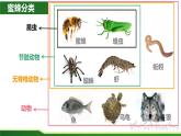 初中 初二 生物《从种到界》课件