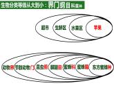 初中 初二 生物《从种到界》课件