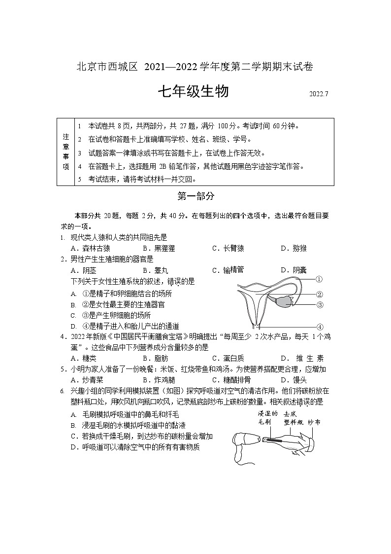 北京市西城区2021-2022年七年级下学期期末考试生物试卷（含答案）01