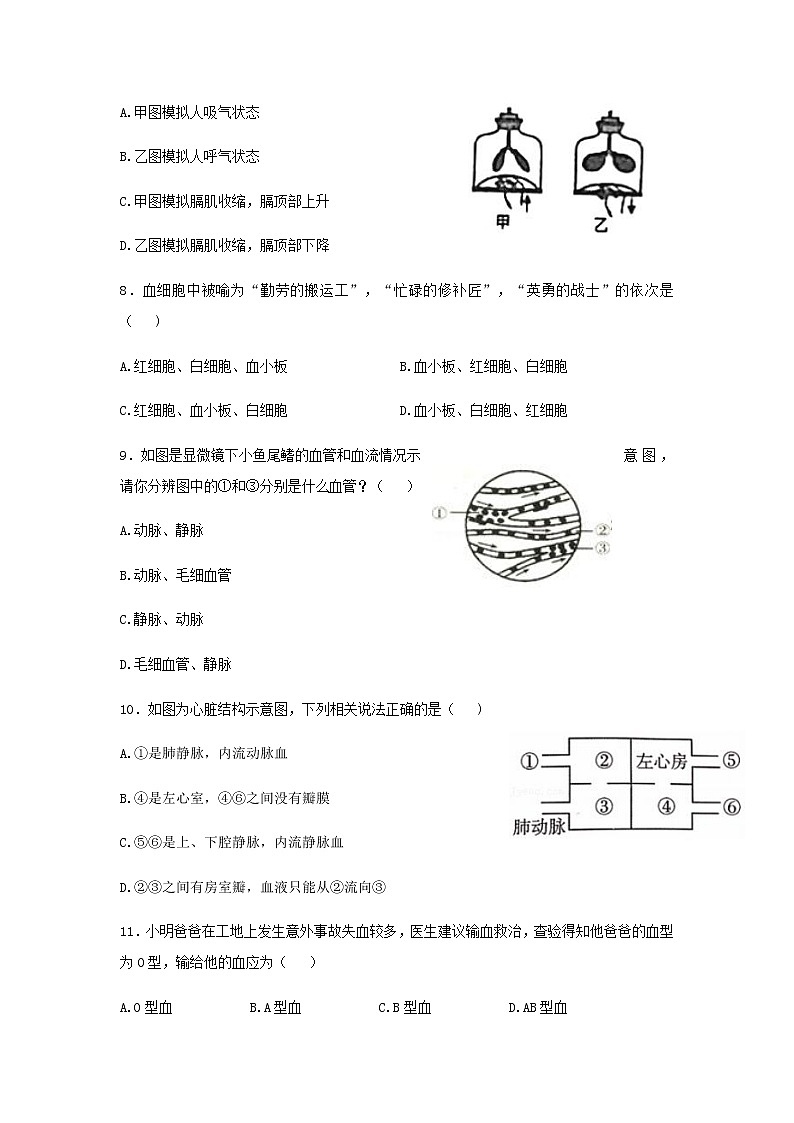 河南省信阳市市直中学2021-2022学年七年级下学期期末考试生物试卷（含答案）02