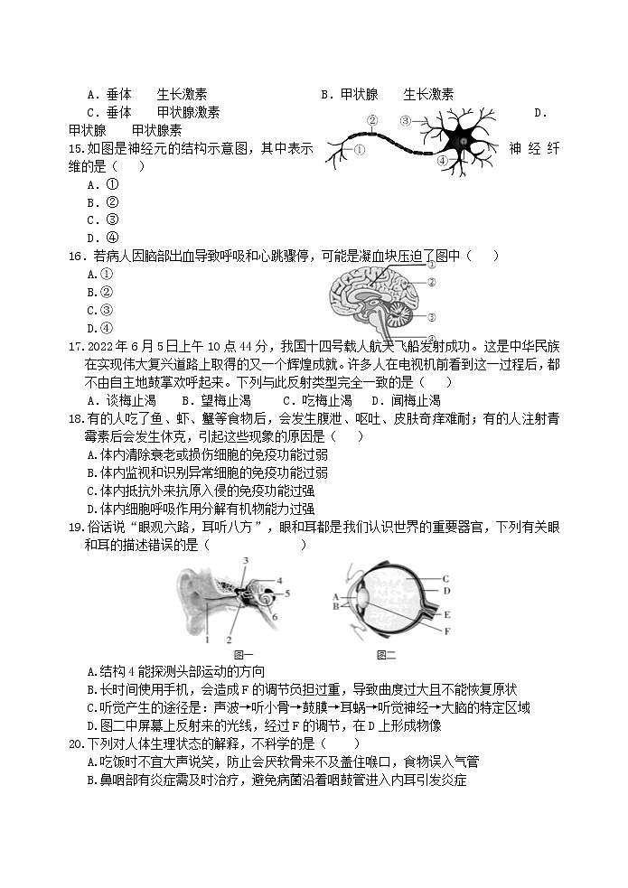 山东省潍坊市安丘市2021-2022学年七年级下学期期末生物试题（含答案）第3页