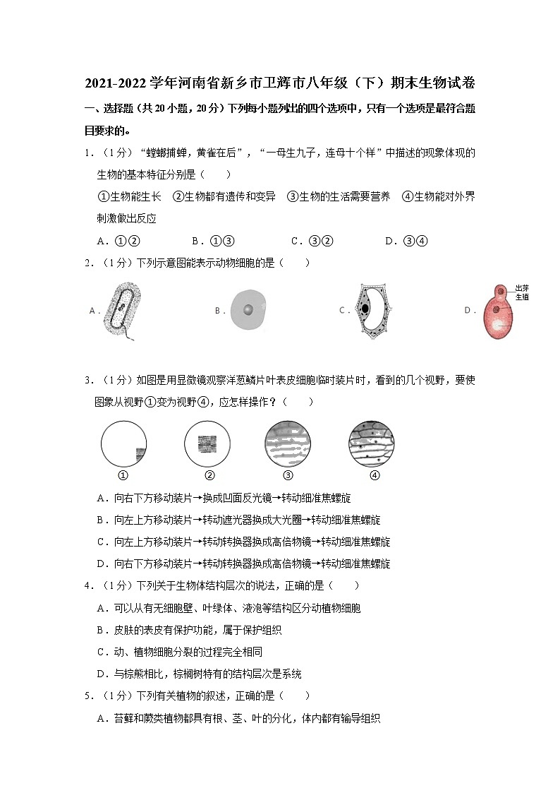 河南省新乡市卫辉市2021-2022学年八年级下学期期末生物试卷（含答案）01