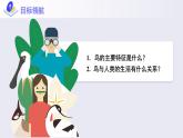 第一章第六节《鸟》课件+教案