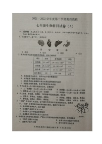 广东省揭阳市榕城区2021-2022学年七年级第二学期期末考试生物试题（含答案）