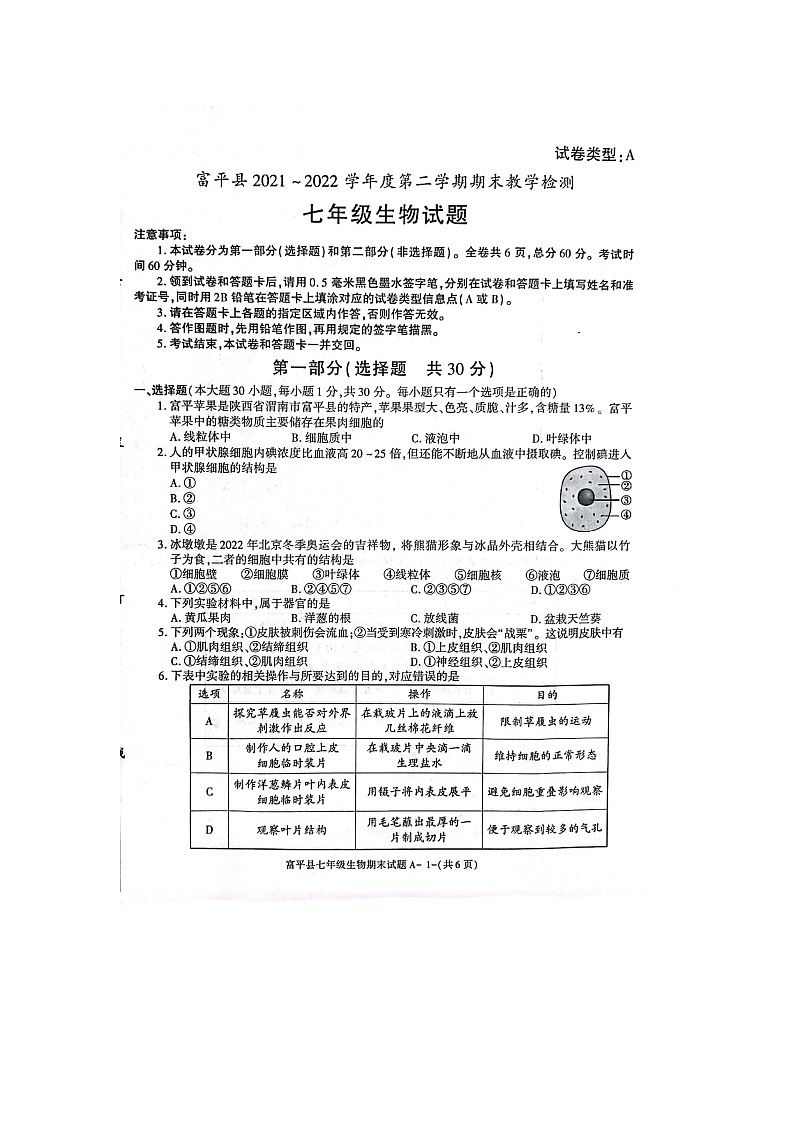 陕西省渭南市富平县2021-2022学年七年级下学期期末考试生物试题（含答案）第1页