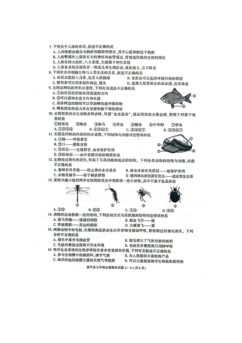 陕西省渭南市富平县2021-2022学年七年级下学期期末考试生物试题（含答案）第2页