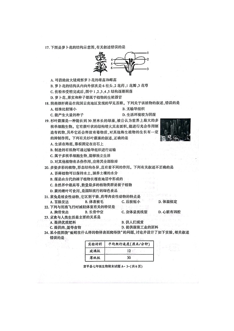 陕西省渭南市富平县2021-2022学年七年级下学期期末考试生物试题（含答案）第3页