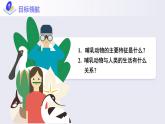 第一章第七节《哺乳动物》课件+教案