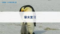 初中生物北师大版八年级上册第19章  生物的生殖和发育综合与测试完美版ppt课件