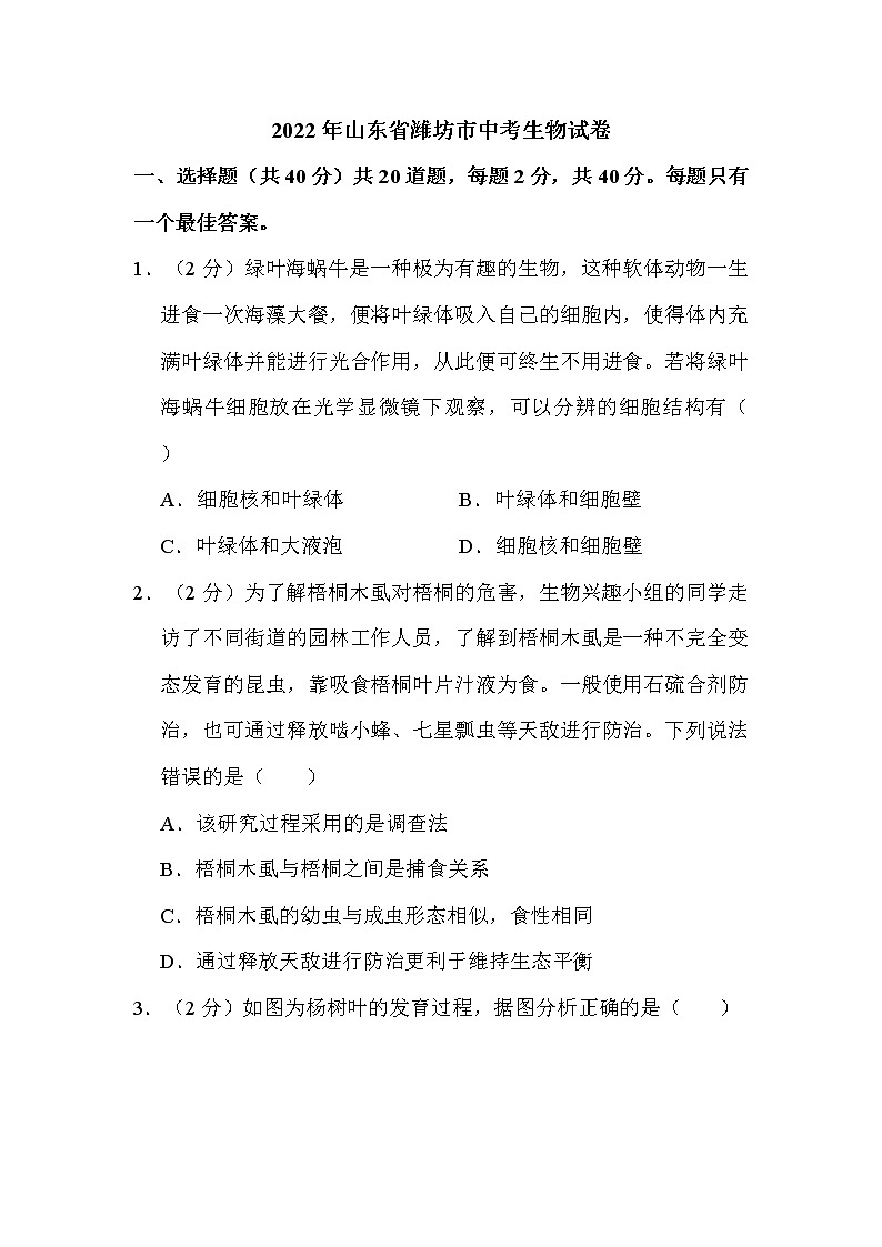 2022年山东省潍坊市中考生物试卷解析版01