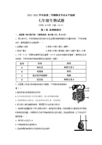 山东省滨州市阳信县2021-2022学年七年级下学期期末学业水平测试生物试题(word版含答案)