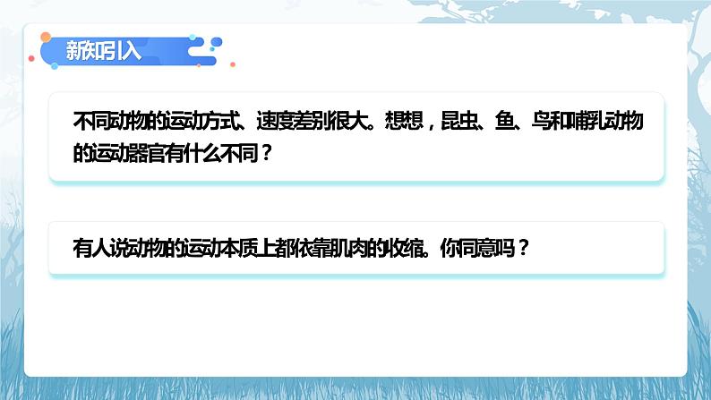 第二章第一节《动物的运动》课件+教案07