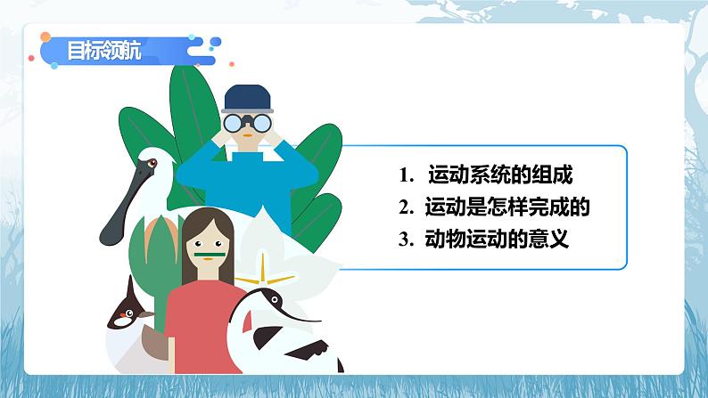 第二章第一节《动物的运动》课件+教案08