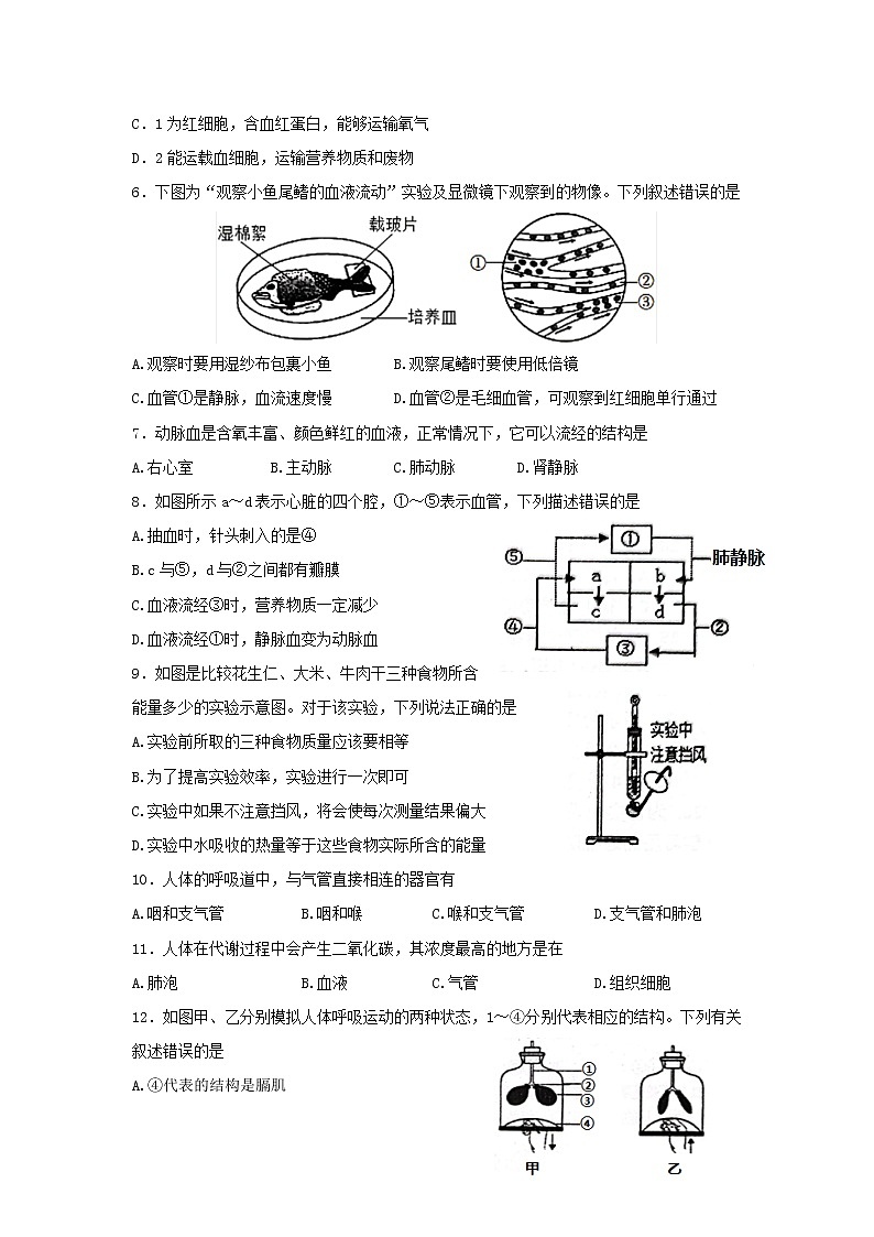 广东省梅州市五华县2021-2022学年七年级下学期期末考试生物试卷(word版含答案)第2页