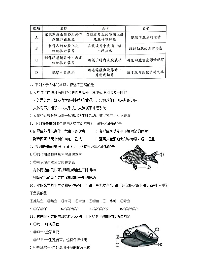 陕西省渭南市富平县2021-2022学年七年级下学期期末考试生物试题(word版含答案)第2页