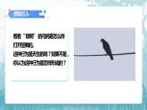 第二章第二节《先天性行为和学习行为》课件+教案