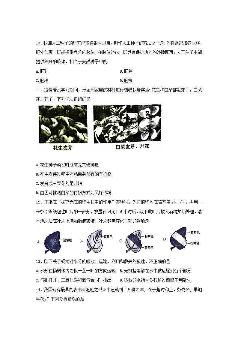 山东省烟台市芝罘区（五四制）2021-2022学年六年级下学期期末考试生物试题(word版含答案)03