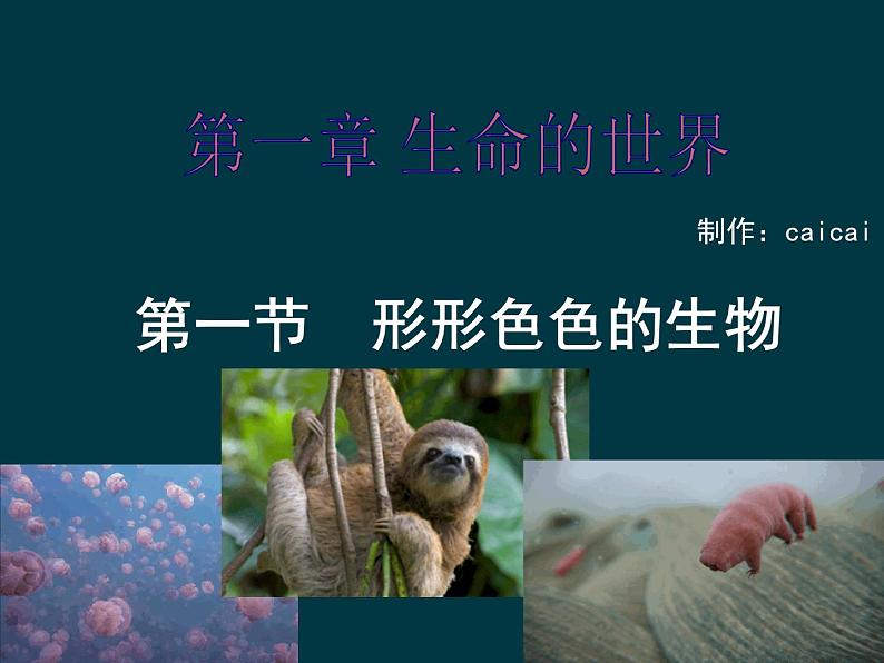 七年级生物北师大版1.1.1 形形色色的生物 课件（共26张PPT）01