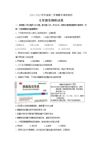 广东省江门市恩平市2021-2022学年七年级下学期期末考试生物试题(word版含答案)