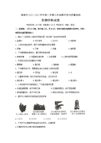 福建省福州市福清市2021-2022学年七年级下学期校内期末质量检测生物试题(word版含答案)