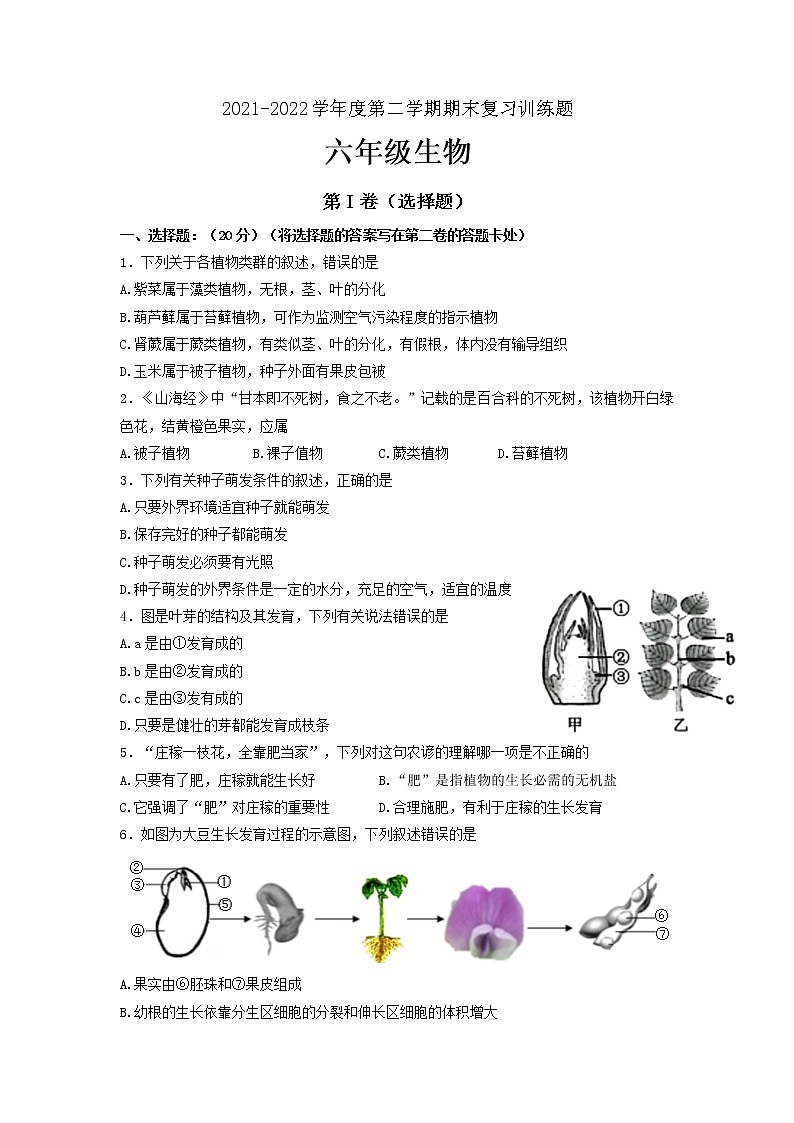 山东省淄博市高青县2021-2022学年六年级下学期期末考试生物试题(word版含答案)第1页