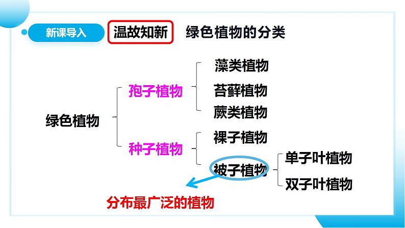 【核心素养目标】人教版 (新课标)初中生物七年级上册3.2.1《种子的萌发》课件+教案+同步分层练习（含答案）03