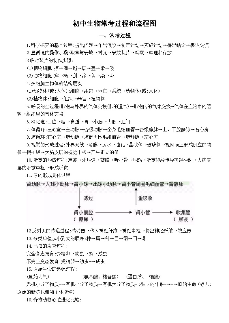 初中生物中考常考过程和流程图整理汇总第1页