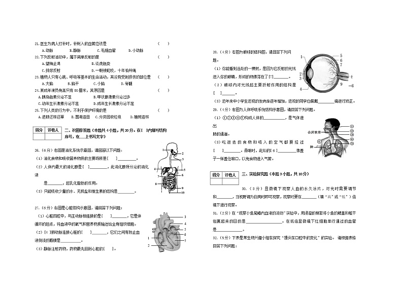 黑龙江省宁安市2021-2022学年七年级下学期期末考试生物试题(word版含答案)02
