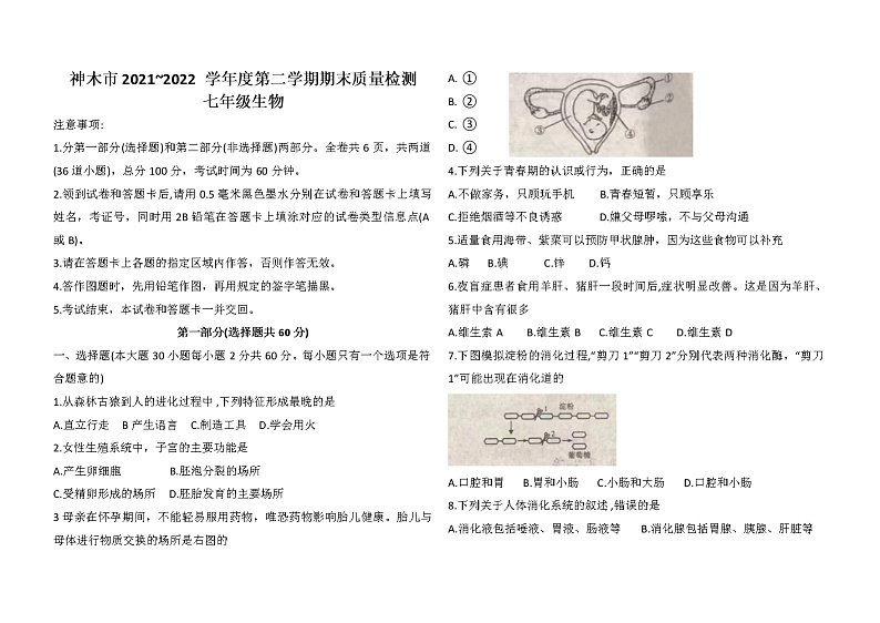 陕西省神木市2021-2022学年七年级下学期期末检测生物试题(word版含答案)01