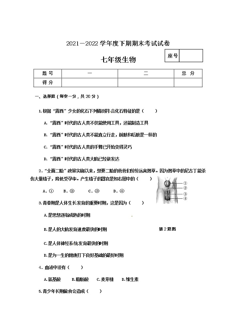 河南省周口市沈丘县2021-2022学年七年级下学期期末考试生物试题(word版含答案)01