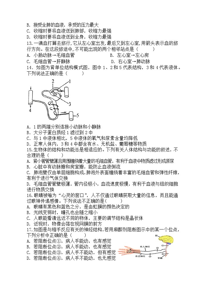 湖南省株洲市攸县2021-2022学年七年级下学期期末质量测试生物试题(word版含答案)03