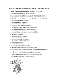 河南省洛阳市偃师区2021-2022学年七年级下学期期末生物试卷(word版含答案)