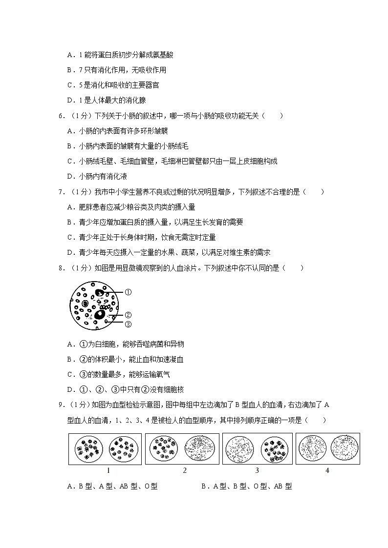 河南省洛阳市偃师区2021-2022学年七年级下学期期末生物试卷(word版含答案)02