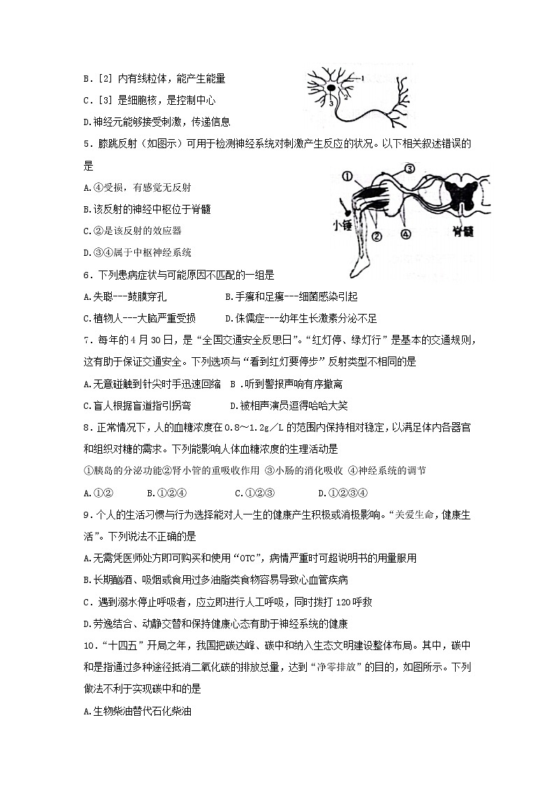 山东省烟台市芝罘区（五四制）2021-2022学年七年级下学期期末考试生物试题(word版含答案)02