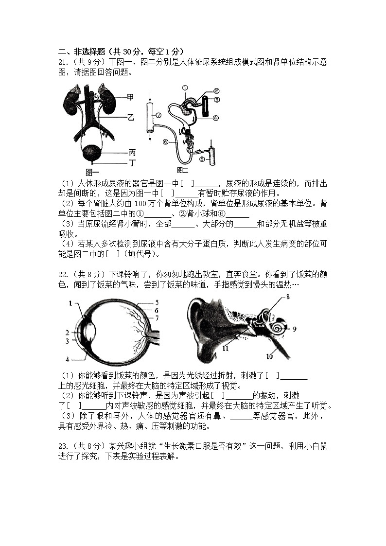 吉林省四平市伊通满族自治县2021-2022学年七年级下学期期末考试生物试题(word版含答案)03