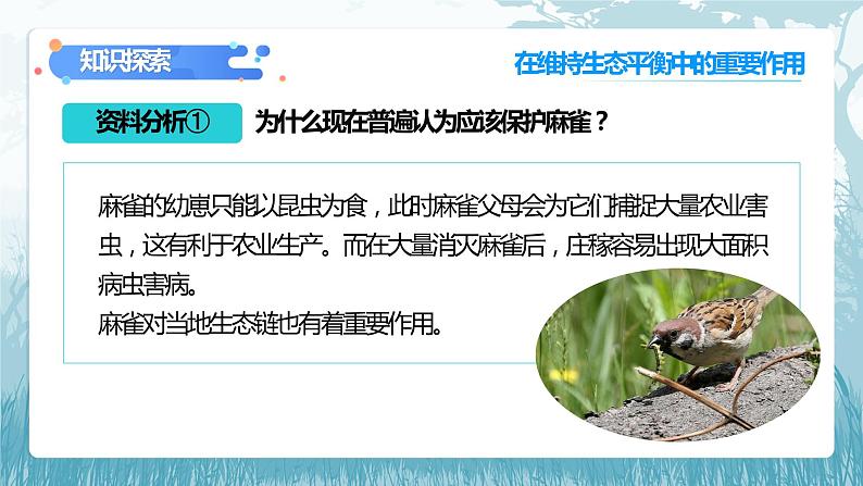 第三章《动物在生物圈中的作用》课件+教案06