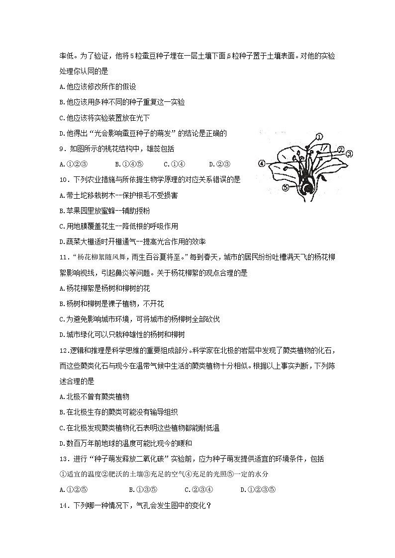 山东省烟台栖霞市（五四制）2021-2022学年六年级下学期期末考试生物试题(word版含答案)第2页