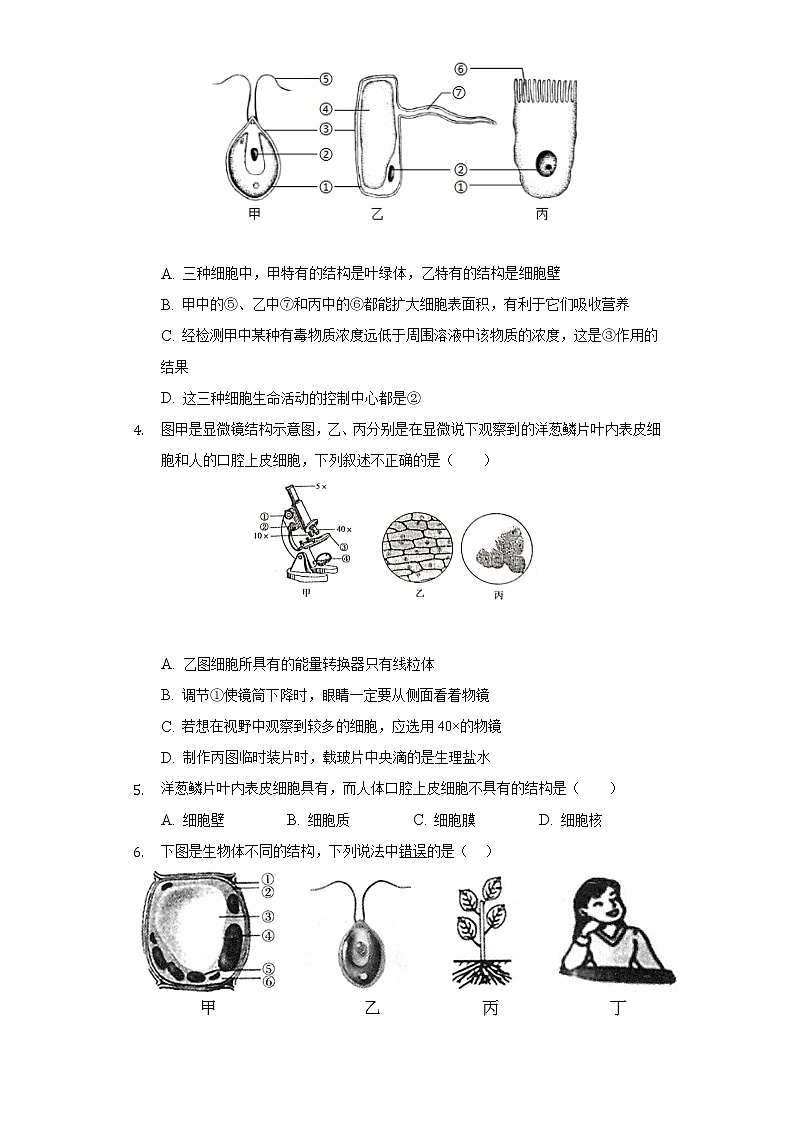 第二单元 1.3动物细胞   人教版初中生物七年级上册同步练习（含答案解析）02