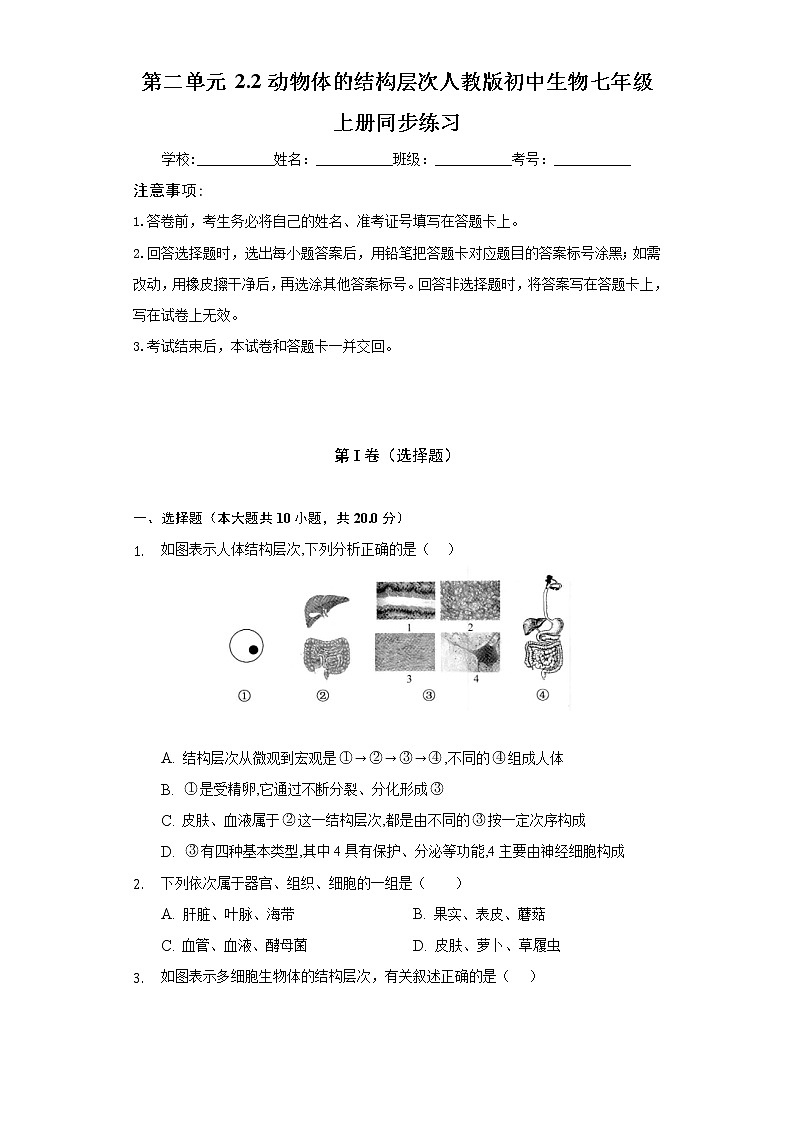第二单元 2.2动物体的结构层次   人教版初中生物七年级上册同步练习（含答案解析）01