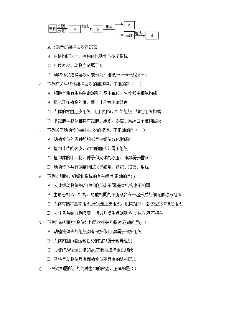 第二单元 2.2动物体的结构层次   人教版初中生物七年级上册同步练习（含答案解析）02
