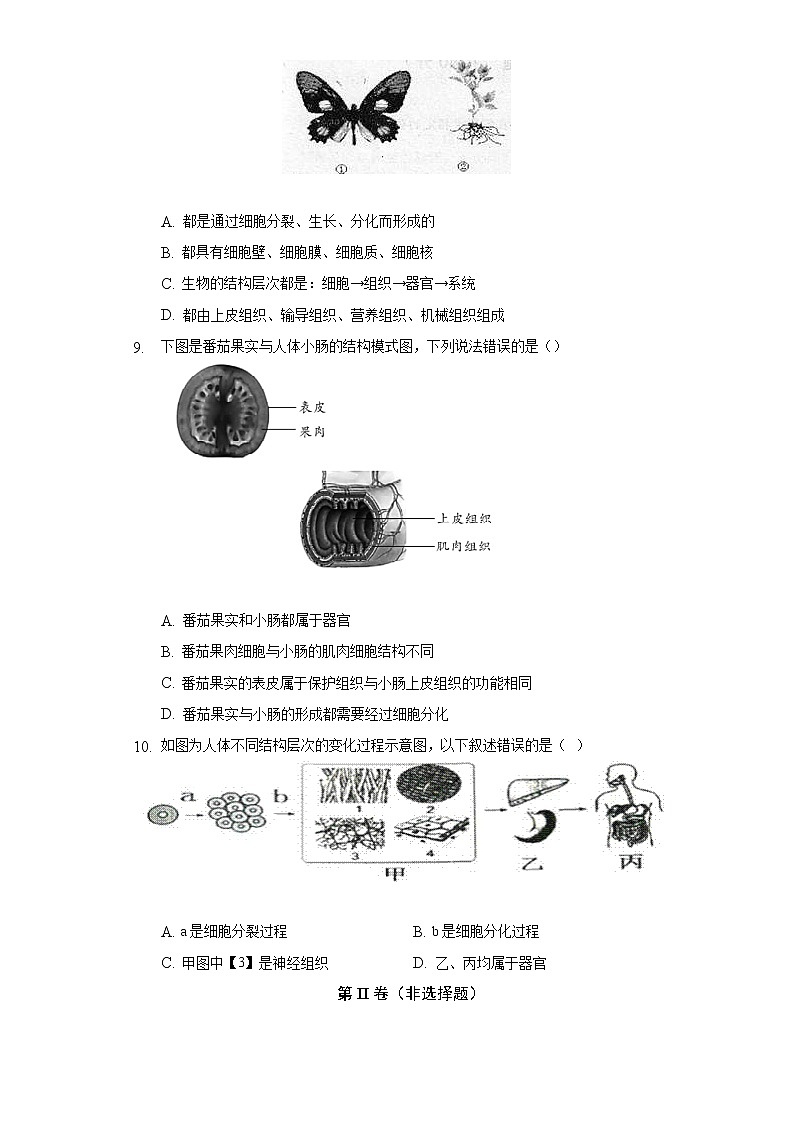第二单元 2.2动物体的结构层次   人教版初中生物七年级上册同步练习（含答案解析）03