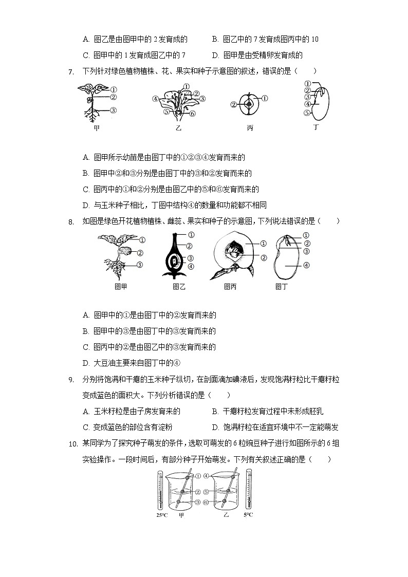 第三单元2.1种子的萌发   人教版初中生物七年级上册同步练习（含答案解析）第3页