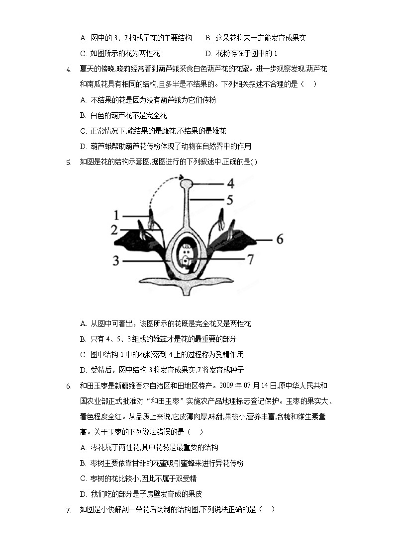 第三单元 2.3开花和结果   人教版初中生物七年级上册同步练习（含答案解析）02