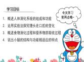 初中 初一 生物 消化和吸收（第一课时）课件
