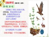 初中 初一 生物 生物与环境组成生态系统 PPT课件