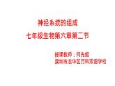 初中 初一 生物 神经系统的组成  课件