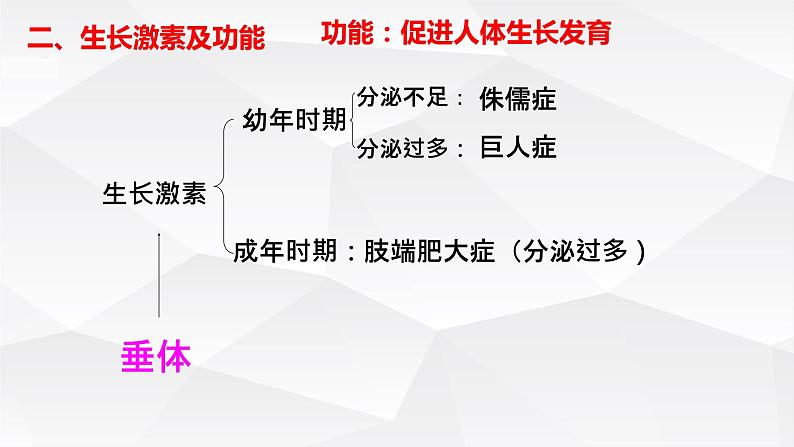 初中生物 七年级 激素调节 课件第7页